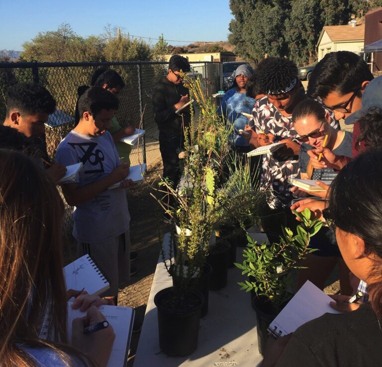 Greenhouse program teaches inner-city students about nature