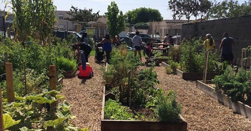 South L.A. community gardens slated to open this summer