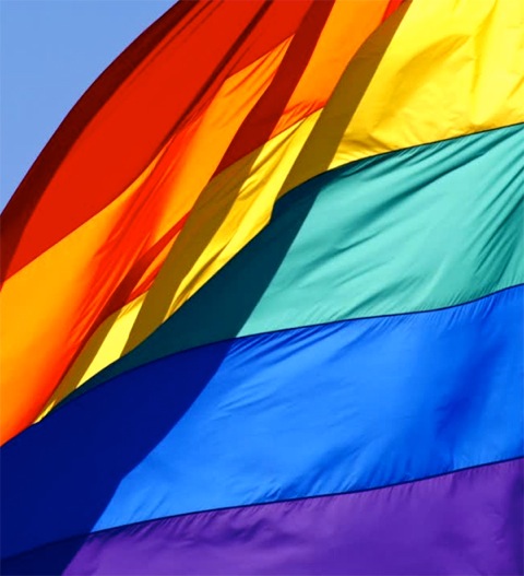 Outside group protests Downey flying Pride flag