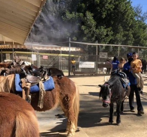 Alliance continues protests at Griffith Park pony rides