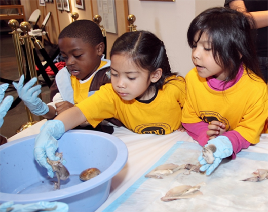 Saturday science program scores big with little kids – Los Angeles Wave ...