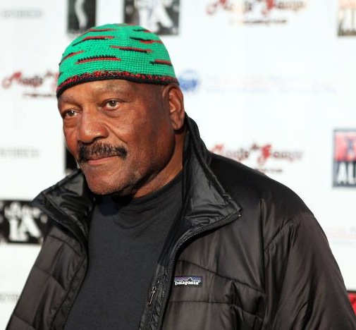 Jim Brown praised for much more than football